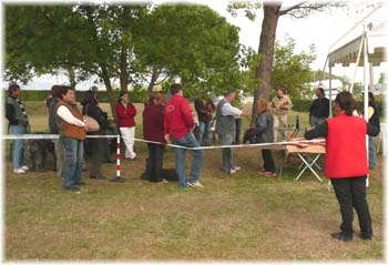 Elevage du CLOS DE LA LUETTE - COPYRIGHT DEPOSE